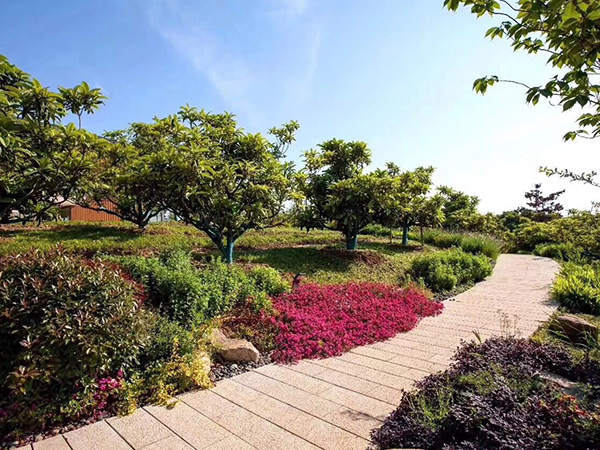 蘇州市高新區(qū)西京灣農(nóng)場