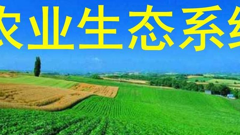 綠色食品認證生產(chǎn)廠家資質(zhì)