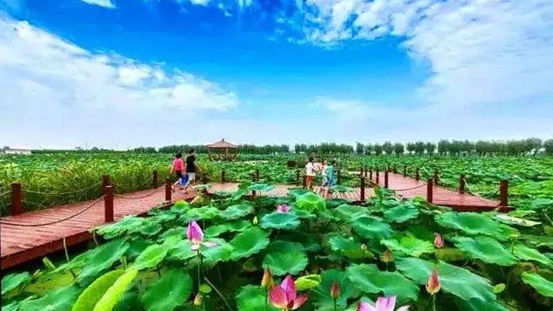 農(nóng)民專業(yè)合作社加盟材料清單