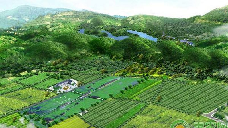 有機(jī)蔬菜與普通蔬菜：輔食選擇中的營(yíng)養(yǎng)與安全考量