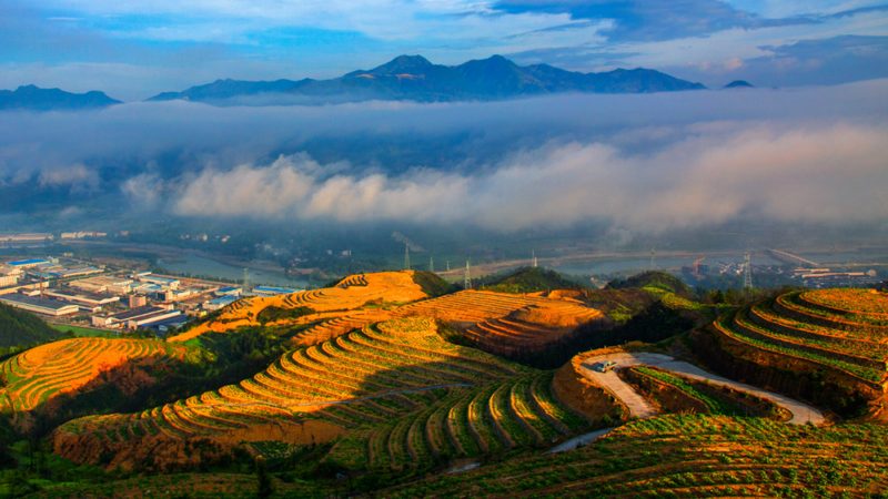智慧灌溉系統(tǒng)：農(nóng)業(yè)現(xiàn)代化的關鍵助力