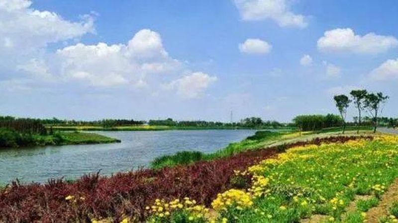 小麥種肥藥套餐批發(fā)：從“湊單”到“定方”的行業(yè)分水嶺