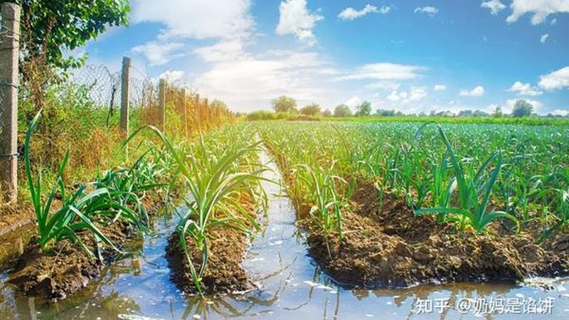 現(xiàn)代農(nóng)業(yè)示范區(qū)建設(shè)標(biāo)準(zhǔn)驗(yàn)收細(xì)則全解析