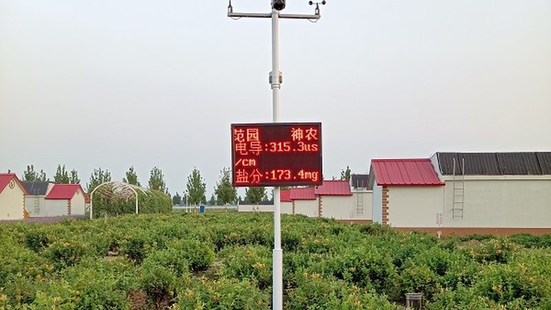 有機(jī)農(nóng)業(yè)種植：種子品種選擇的科學(xué)之道**